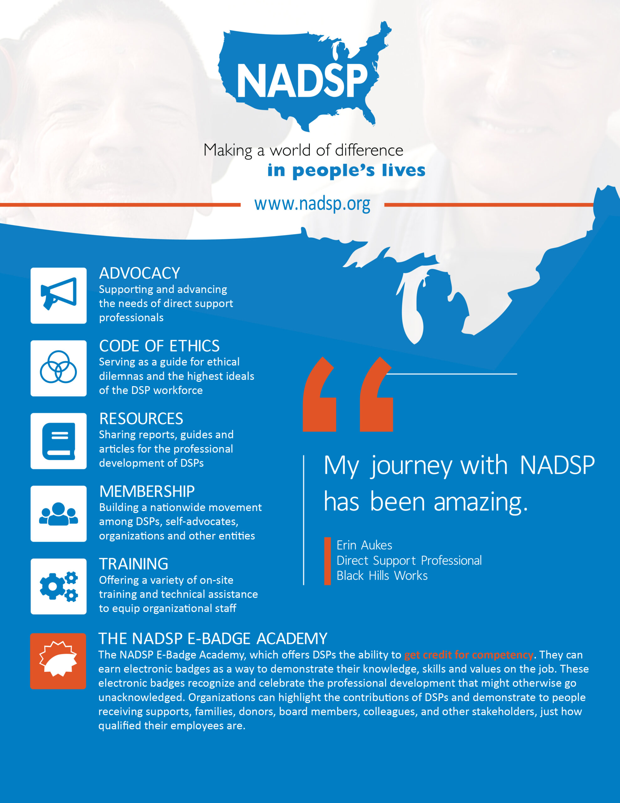 Screenshot example of NADSP Overview Flyer